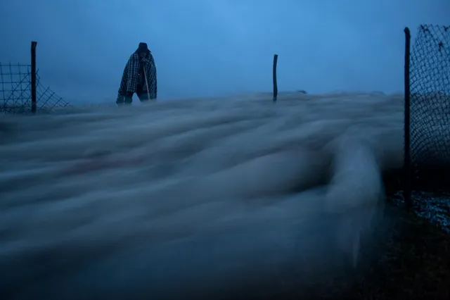 Ultima transhumanță